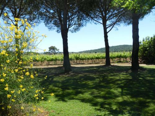 Agroturismo Agriturismo Fusini