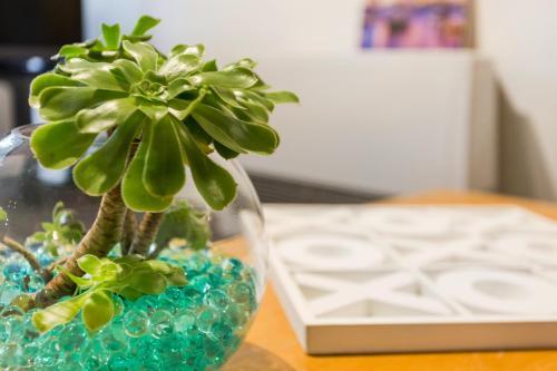 Apartamento Melbourne Villa