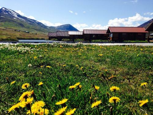 Hostal Brimnes Bungalows