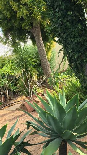 Armadale Cottage Bed & Breakfast