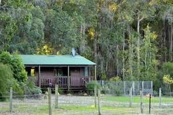 Diamond Forest Cottages