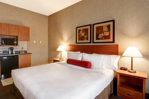 Hotel Super 8 Rimbey