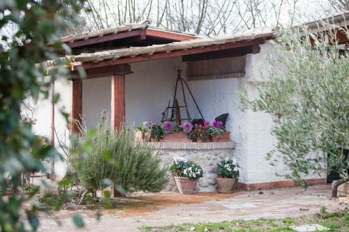 Bed & Breakfast Antico Casale Spezia Pelagalli