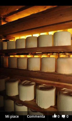 Apartamento Agriturismo Valliera