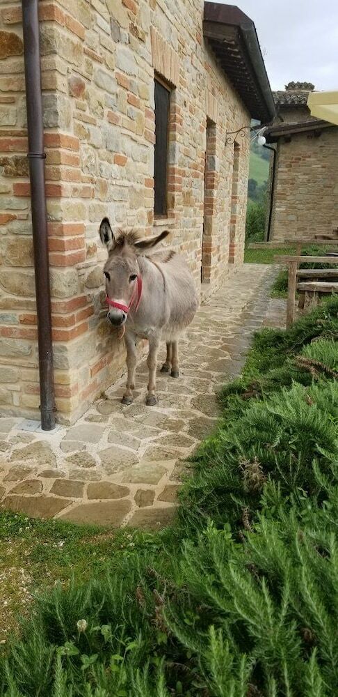 Bed & Breakfast Villabruzzo