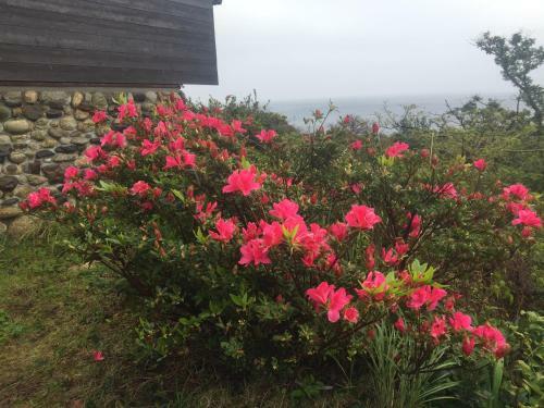 Lodge Yakushima Umi No Cottage Tida