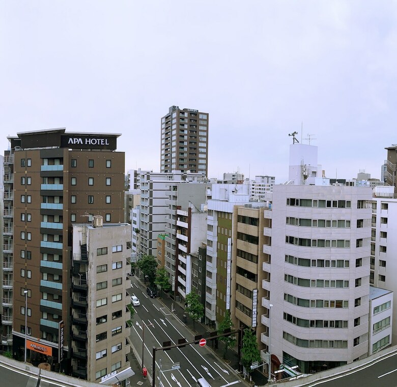 Apartamentos Akihabara Luxury Cityhouse