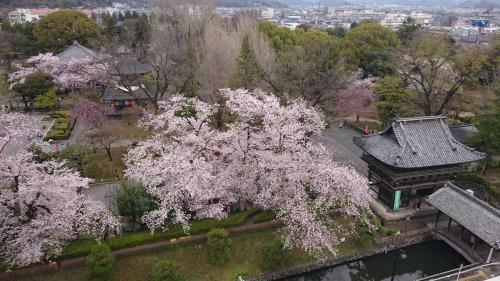 Hotel Wakasa