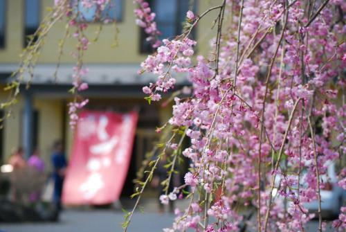 Hostal Shizukatei