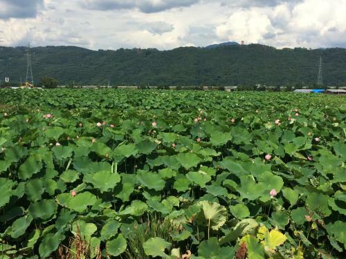 Hostal En Guest House