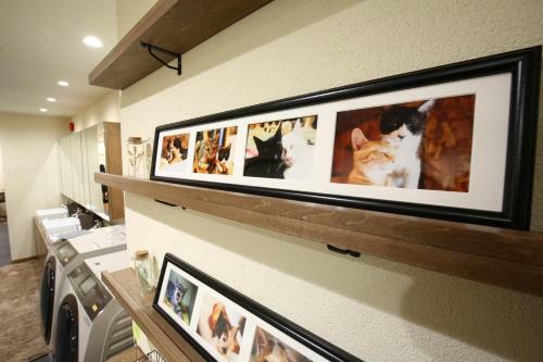 Yagura Hostel