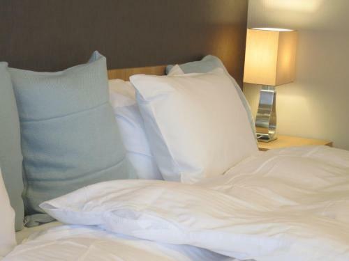 Aparthotel Hotel Plaza Umeshin Kitashinchi
