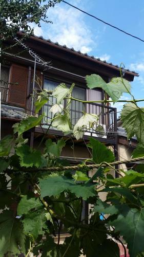 Hostal Higashi Matsudo Home, Narita Ap Direct