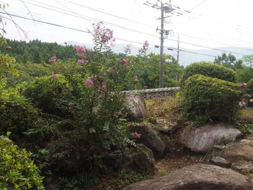 Hostal Guest House Ne Doco