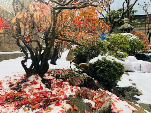 Bed & Breakfast Otarunishikien