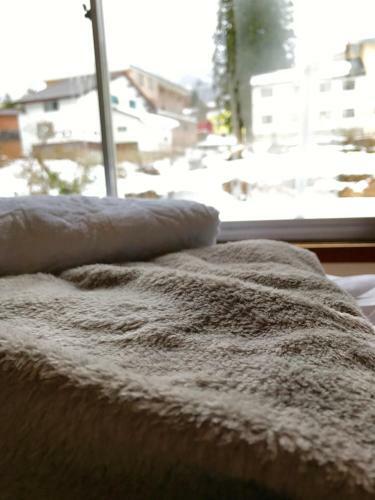 Albergue Hai Lodge