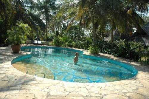 Shambani Cottages
