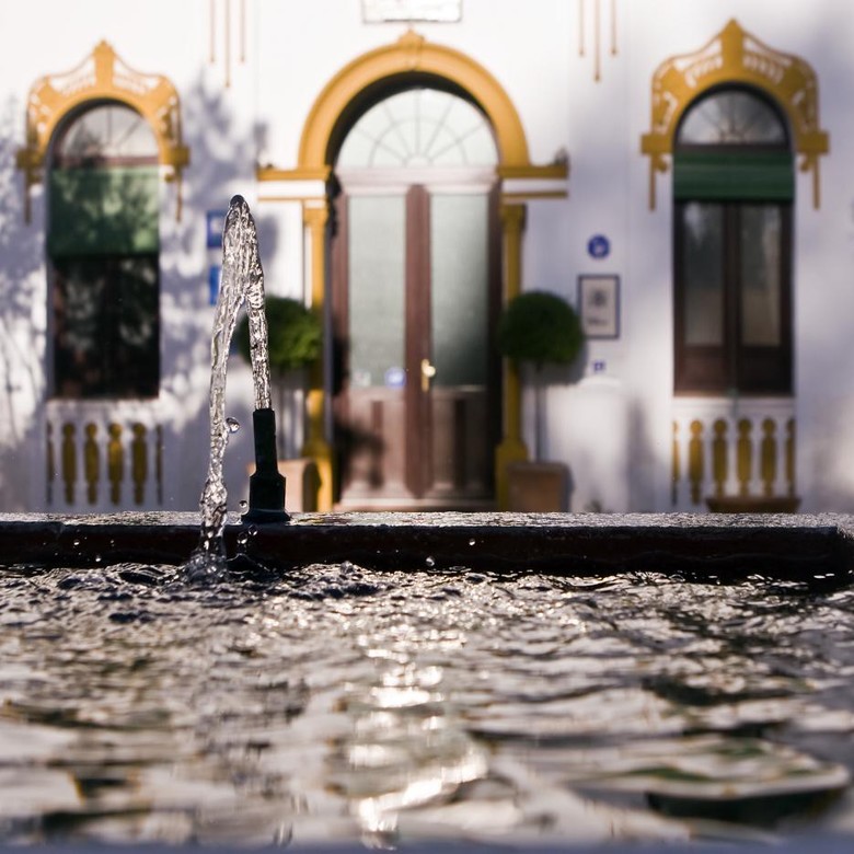 Hotel Balneario El Raposo