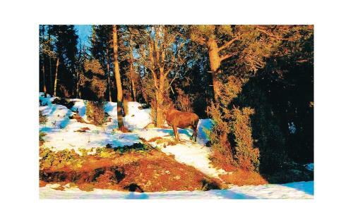 Holiday Home H�rland Mosebyveien II