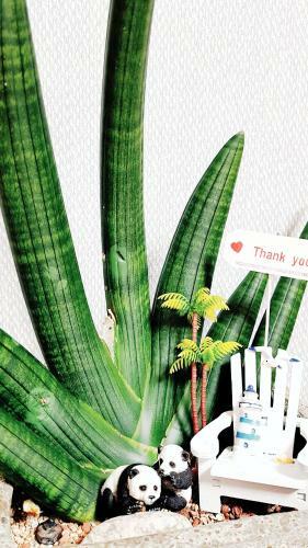 Ll House Homestay [ Room 2 ]