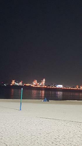 Pohang Hotel View