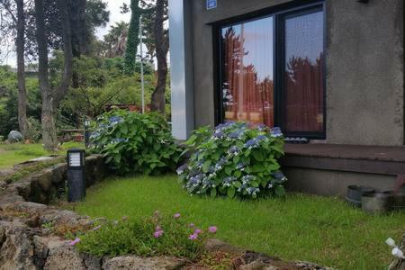 Bed & Breakfast Jejulan
