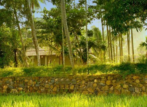 Villa Ivory House
