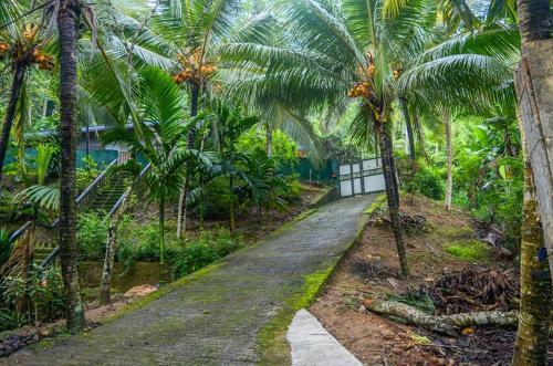 Evergreen Villa