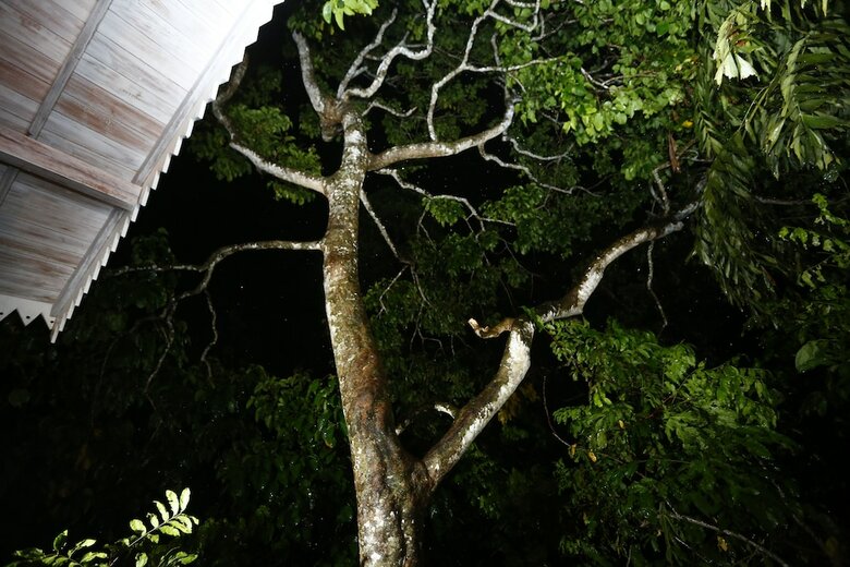 Villa Ceylon Olive Galle