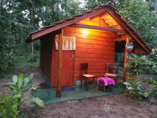 Jungle Paradise
