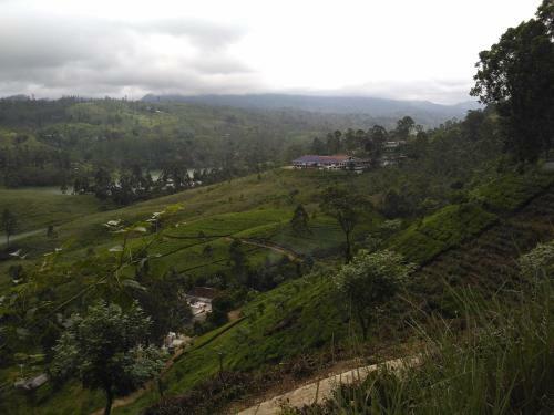 Hotel Dam House (near Adams Peak)