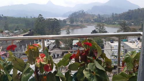 Hotel Dam House (near Adams Peak)