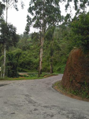 Hotel Dam House (near Adams Peak)
