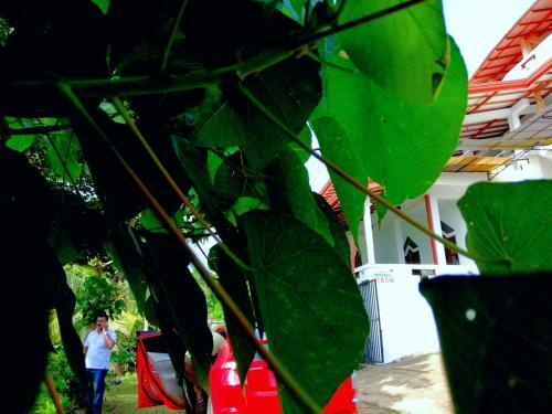 Hotel Devinuwara Cs Guest Inn