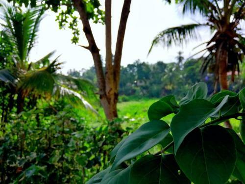 Hotel Devinuwara Cs Guest Inn