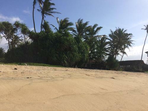 Hostal Blue Corals Beach Bungalow