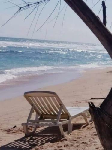 Hostal Blue Corals Beach Bungalow