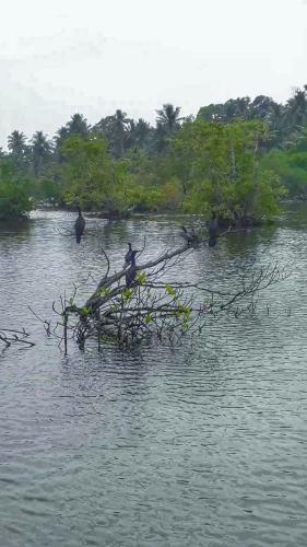 Samudra's Place