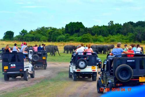 Hotel Elephant Pass - Minneriya