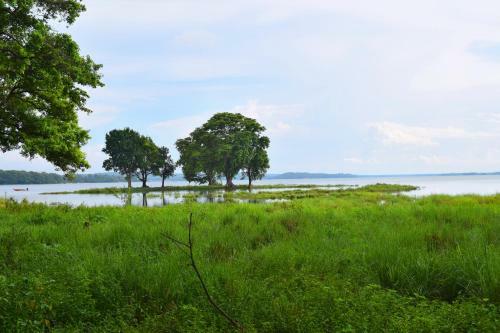 Hotel Elephant Pass - Minneriya