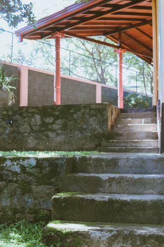 Mountain View Lodge