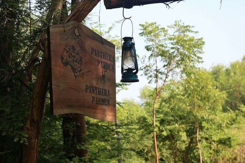Dev's Campground - Tented Safari