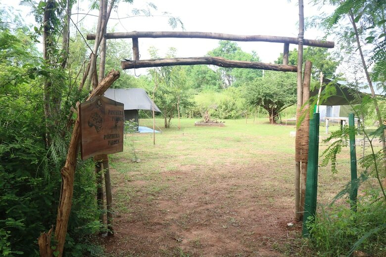 Dev's Campground - Tented Safari