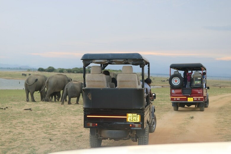 Dev's Campground - Tented Safari