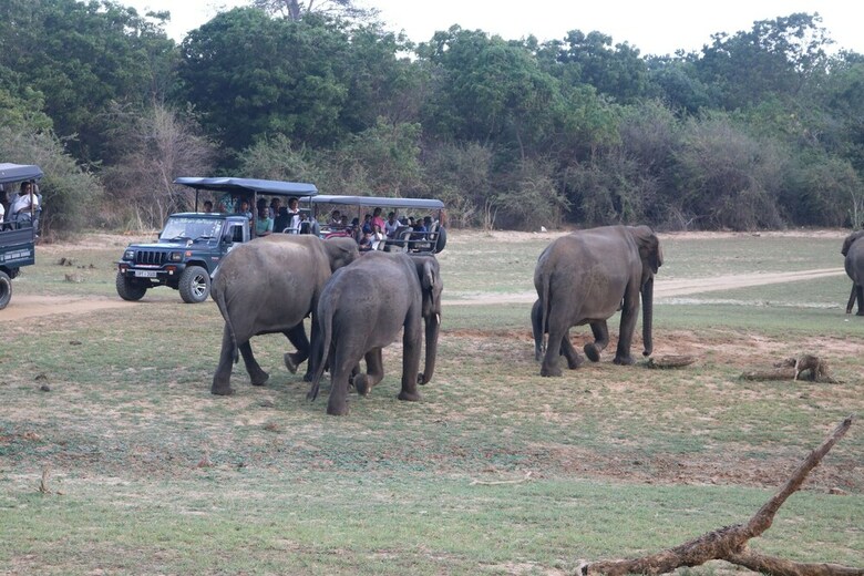 Dev's Campground - Tented Safari