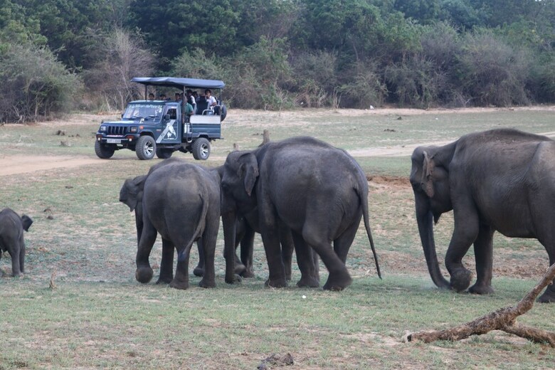 Dev's Campground - Tented Safari