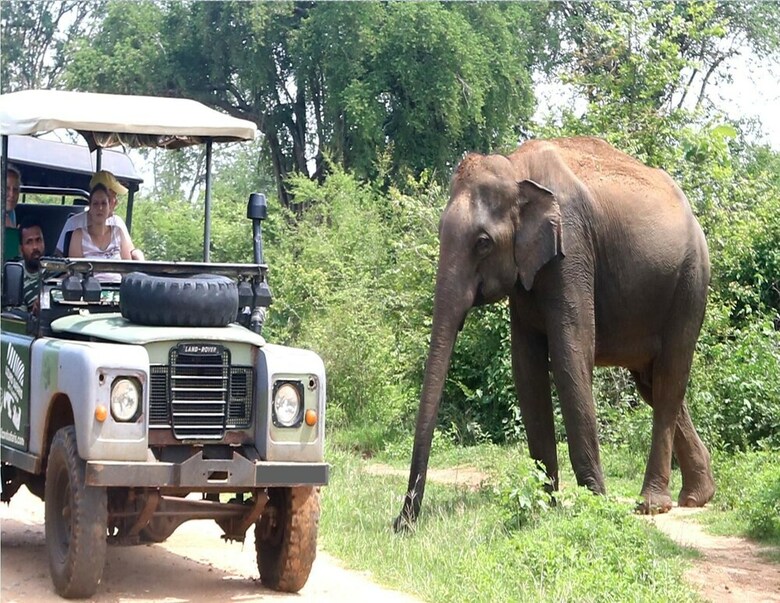 Dev's Campground - Tented Safari