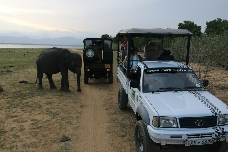 Dev's Campground - Tented Safari