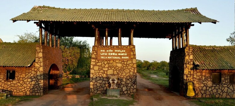 Dev's Campground - Tented Safari
