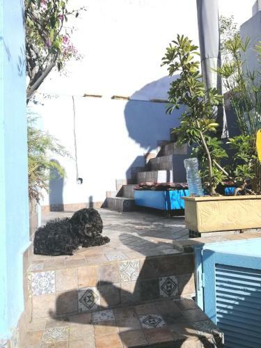 Riad Aicha